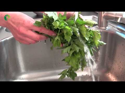 Sachia Pesto mit Petersilie & Rucola