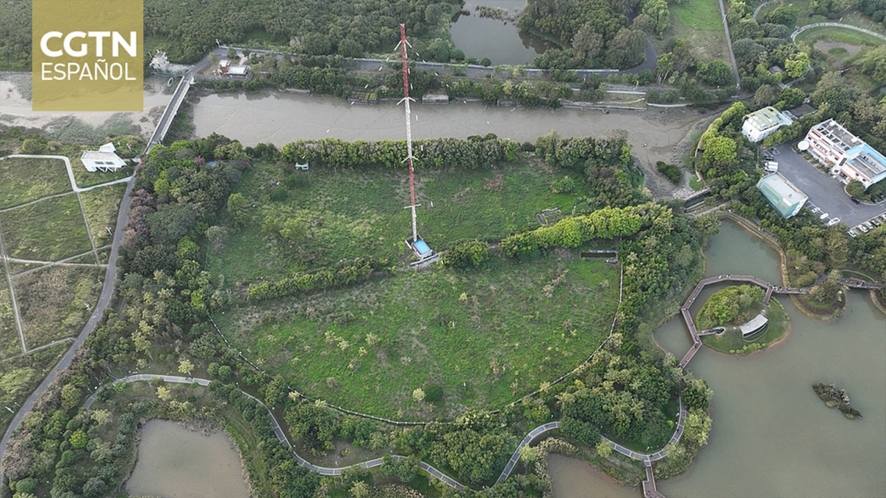 En Shenzhen, un santuario de manglares en el corazón de una potencia tecnológica
