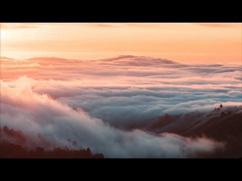 VOCES8: - The Deer's Cry - Arvo Pärt