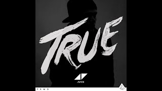 Avicii - Liar Liar (Instrumental)