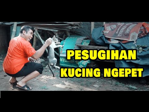 pesugihan-kucing-ngepet-pak-bhabin-polisi-motret
