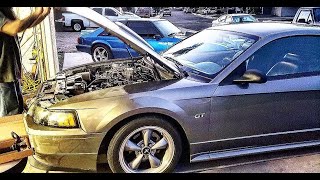 MMD Strut Hood Mod Install on the New Edge Mustang  (Inexpensive solution)