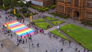 Students, staff and visitors create a chalk rainbow on the main thoroughfare at Sydney University ahead of their Ally Network launch.