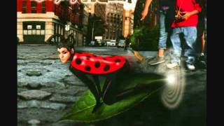 Ladybug Mecca  - Last Train