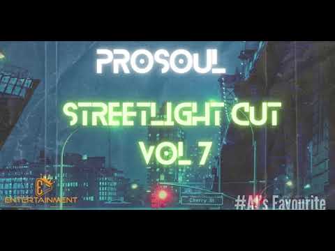 Streetlight Cuts Vol 07 Mixed & Compiled by ProSoul