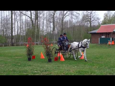 Fahrturnier Heek 8.4.2017