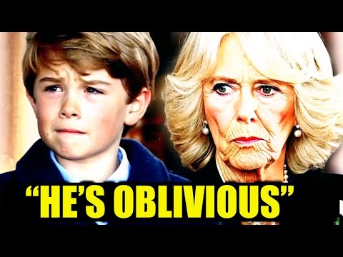 Queen Camilla's Raw Anger Attacked Prince Louis, Fans Burst in Anger This Royal Event