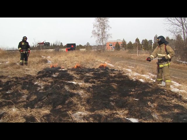 Жечь траву нельзя даже на участках