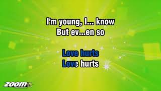 Roy Orbison With The Royal Philharmonic Orchestra - Love Hurts - Karaoke Version from Zoom