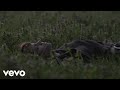 BLANCO, Elisa - Ricordi