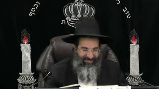 מסכת בבא בתרא - דף טו: - טז. | חלק 31 | הרב שי עובד (הרב שי עובד) - התמונה מוצגת ישירות מתוך אתר האינטרנט יוטיוב. זכויות היוצרים בתמונה שייכות ליוצרה. קישור קרדיט למקור התוכן נמצא בתוך דף הסרטון