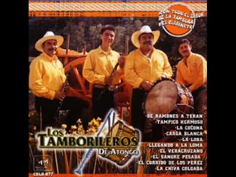 Tamborileros de Atongo - de Ramones a Teran