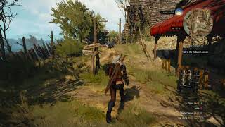 The Witcher 3 Get to Radanian Liasion A Deadly Plot Get to Dijkstra to Talk Again