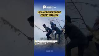 HUTAN KAWASAN BROMO KEMBALI TERBAKAR