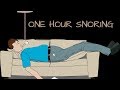 One Hour Snoring Sound Effect