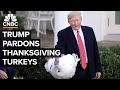 President Trump Pardons Thanksgiving Turkeys At Annual White House Ceremony 11 25 2025