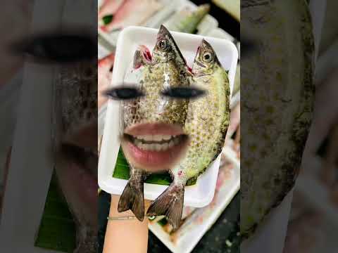 KHI TỦ LẠNH BIẾT NÓI THÌ SẼ NHƯ THẾ NÀO?