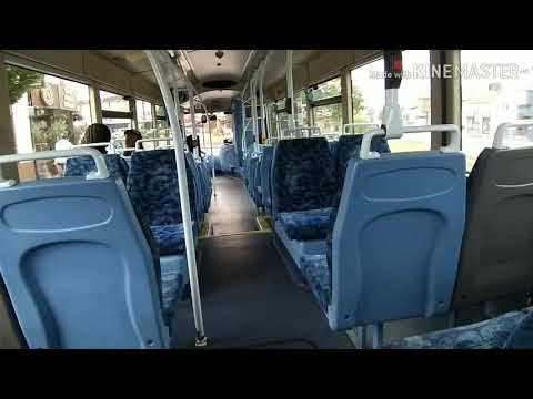 Trustybus Scania L94UB/Wright Solar NK53 UNY (4972)