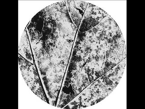 MNMT Premiere: Vâyu – Nysa