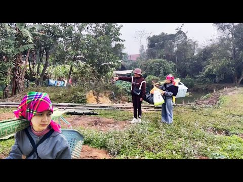 With very little money, the girl finally managed to buy a small plot of land to start a new life