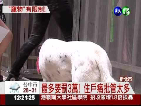 寵物逾2隻要罰! 社區被批管太多