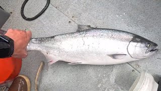 Great Fishing On A Stormy Day, PB King Salmon With Quality Halibut- Day 5 In Petersburg, Alaska!