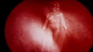 Broadcast and the Focus Group - The Be Colony