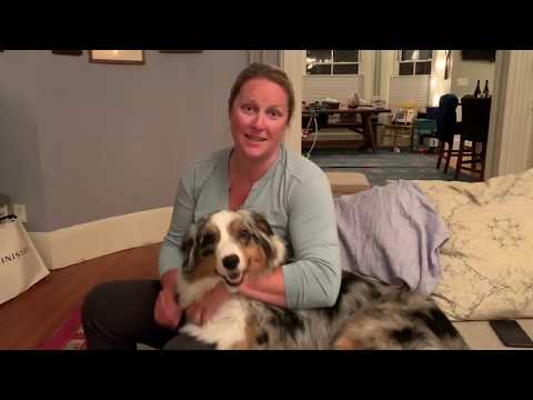 Boston Body Rub