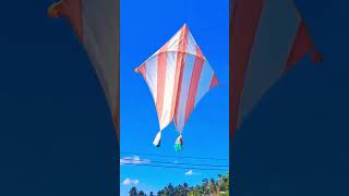 Download lagu Beautiful kite flying in Sri Lanka 🇱🇰 | 2023 | kite season | bigg kite | #kite #kiteflying mp3 Download lagu Beautiful kite flying in Sri Lanka 🇱🇰 | 2023 | kite season | bigg kite | #kite #kiteflying mp3