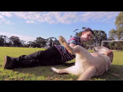 Humanimals: Episode 1 - "Dog's Body"