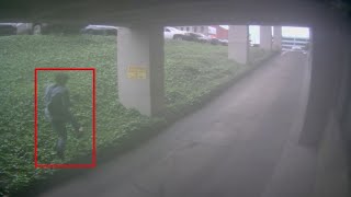 Video shows man escape from Licking County deputies after court hearing