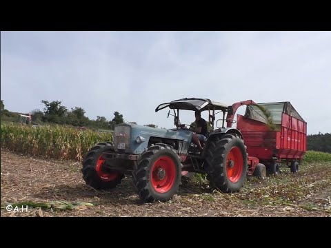 Eicher Wotan Fahr FH 900 Fella Mais Häcksel 4060 Königstiger Mammut Speiser Scampolo Weidner Silomat