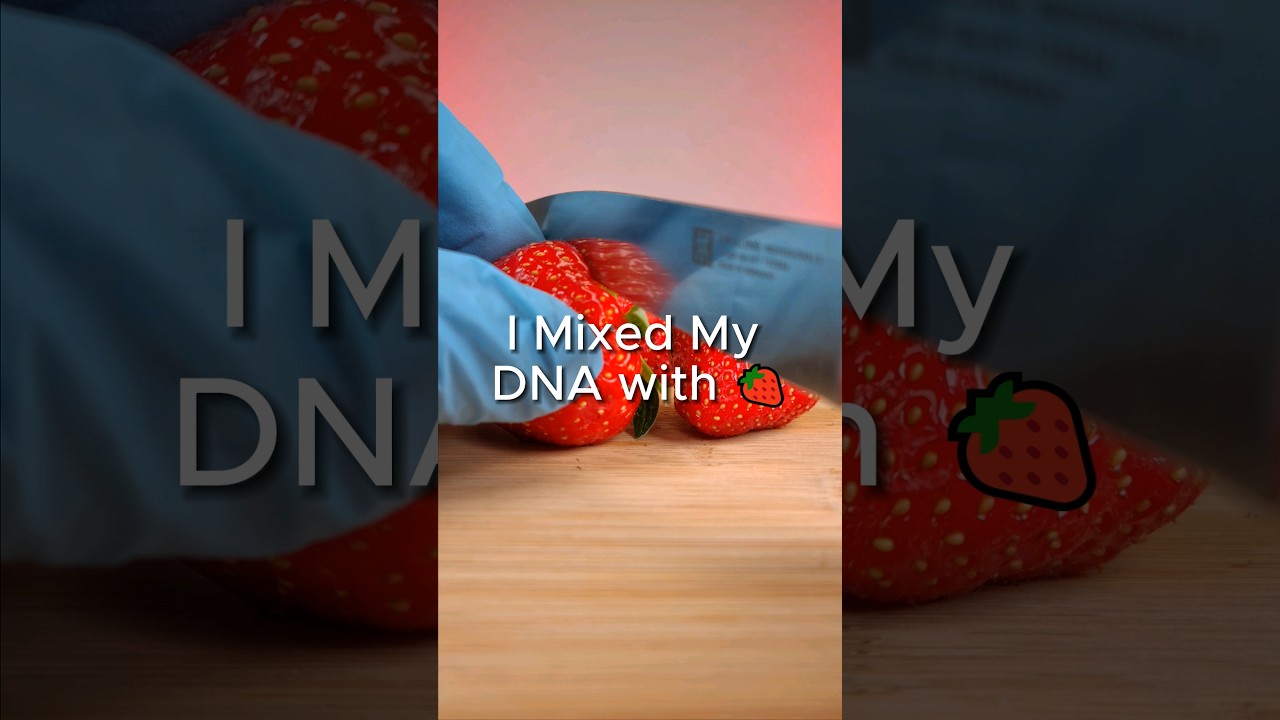 I Mixed My DNA with Strawberry's