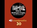 30 | Washington Heights & noise - with Lucina Chavez-Rosique