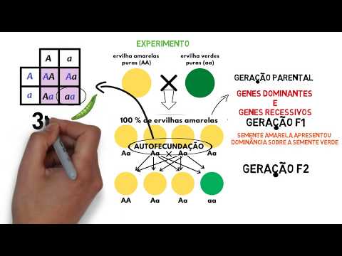 SUMMARY EXPERIMENT 1 Mendel's law