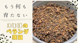 家庭菜園【食糧備蓄】もみ殻燻灰＆バケツコンポスト導入してみた