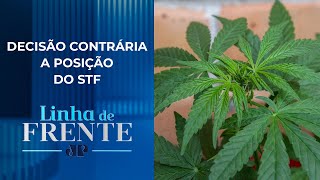 Santa Catarina reage à descriminalização do uso da maconha