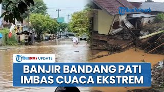 Pati Dikepung Banjir Imbas Cuaca Ekstrem, 14 Kecamatan Terendam hingga Arus Lalu Lintas Lumpuh