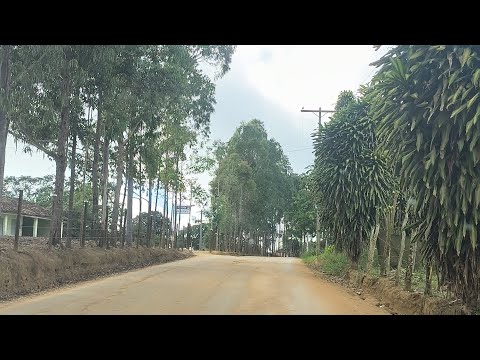 Irajuba-ba parte 2(depois de anos KKKKKK)