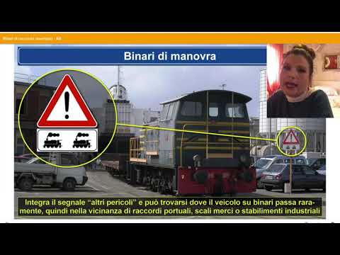 supplementary panels