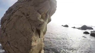 Musical Journey with peter grimmer