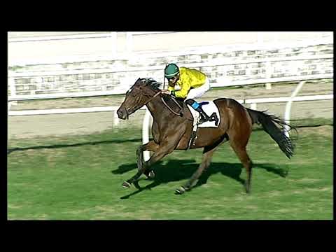 Galoppo 14/12/2020 - 2ª corsa