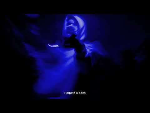 Soul Dane, Mr Drive, The Parra - Flashes (Visualizer)