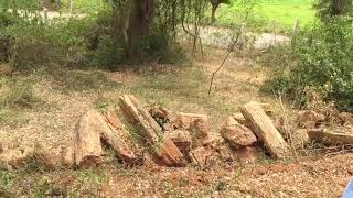 preview picture of video 'National Fossil Wood Park, Tiruvakkarai,VILLUPURAM DISTRICT'