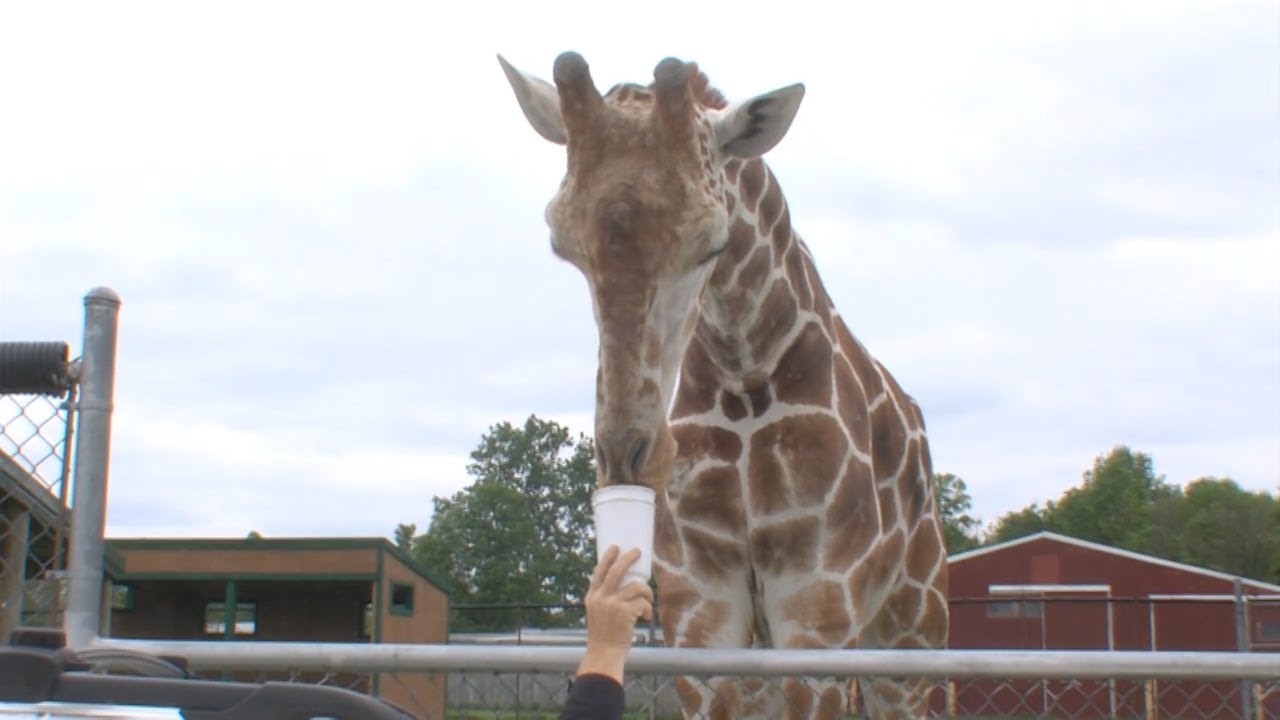 Northcoast Vacation 05-20-2018 Part2