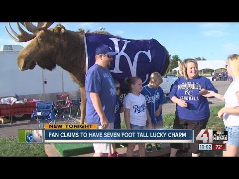 Two fans have actual moose as lucky charm for Kansas City Royals