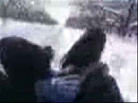 Pe partia din Tarna-Mare