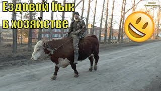 Рыбалка целинный район