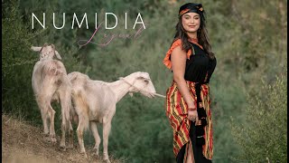 Video thumbnail image