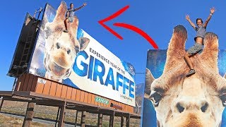 HANGING OFF BILLBOARD SIGN! *DO NOT COPY*